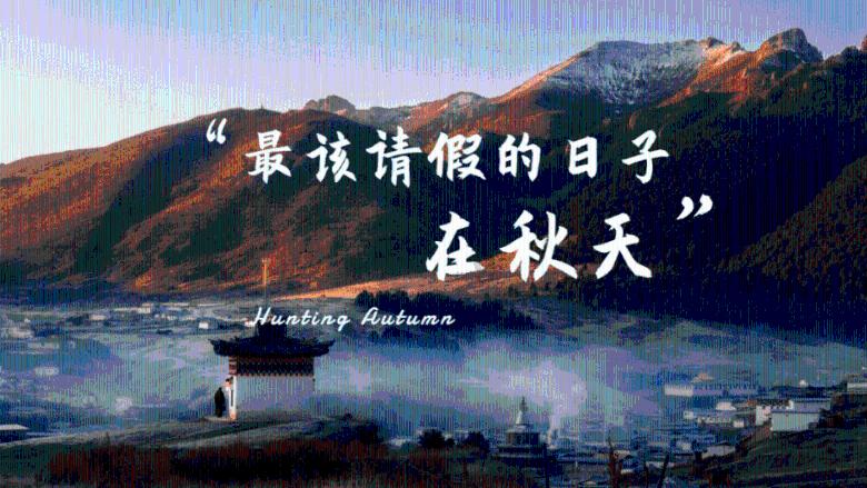 暴雪讲暂停在中国大多数游戏,暴雪的哪款游戏是你的真爱?-专业的知识问答网页
