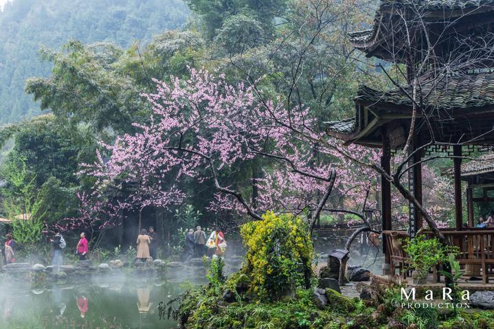 神游记