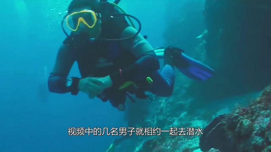 如何在县城撬动世界？福庆董事长陈长富：34年专注一张好板，做到出口销量第一