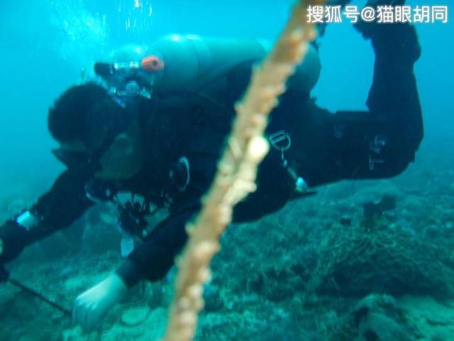超级坦克联盟3