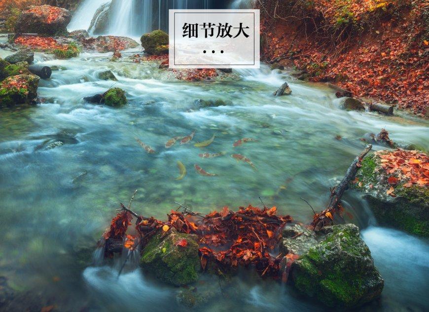 小勇士救公主