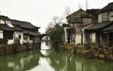 凤凰不好惹