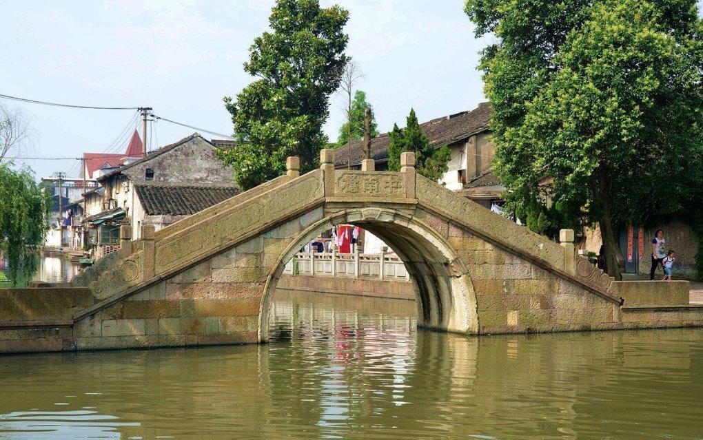 为什么向日葵总是跟着太阳转游戏画面