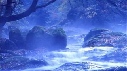 球员失误后，郭士强冲动行为被裁判制止，人情世故在此刻暴露无遗