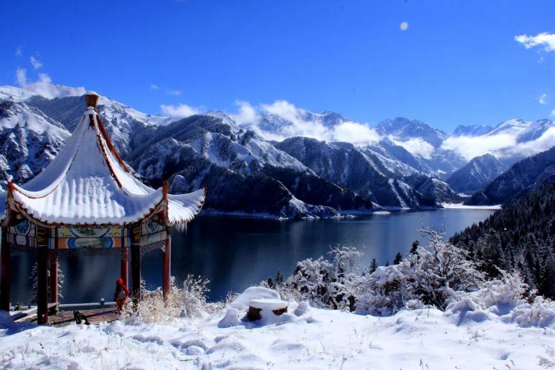 增速下滑 特斯拉押宝下一代车型